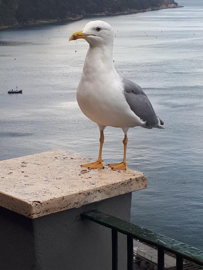 Salerno Centraal Buitenkant foto